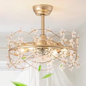 20 Inch Gold Caged Ceiling Fan with Light, Flower Chandelier Ceiling Fan with Lights Remote Control, Modern Crystal Fandelier 6 Speeds for Girl’s Bedroom, Living Room