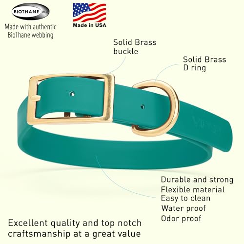 Image of Viper Biothane Heavy Duty Waterproof Dog Collar Strong Coated Nylon Webbing w /Solid Brass Hardware Odor-Proof Easy to Clean High Performance Fits Small Medium or Large Dogs, Blue Aqua