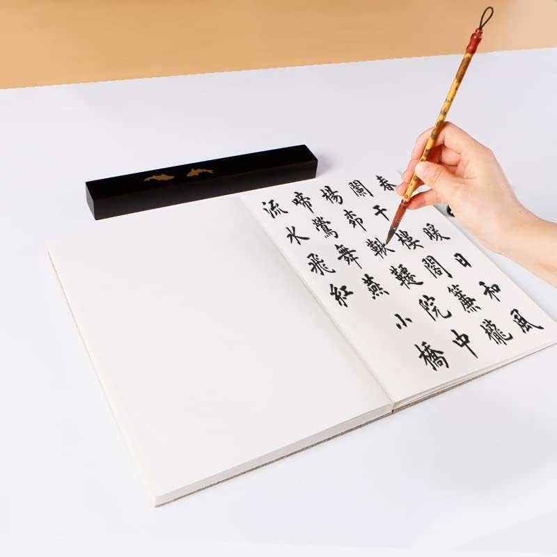 QianKao Calligraphy Practice Copybook chinese ancient books copy 宣纸册页本空白书法纸半生半熟双层加厚册页国展仿古生宣折页国画(1Pcs 9号（25 * 17CM) 黄金龙册页