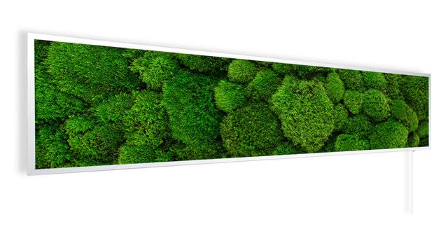 Könighaus Bildinfrarotheizung 450 Watt - 5-12 m² - 120x30 cm | Motiv: Moos, 5 Jahre Garantie, doppelter Überhitzungsschutz, ultraflacher Heizkörper