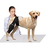 Tinzum M Dog Knee Brace for Torn Acl Hind Leg for Support with Cruciate Ligament Injury, Better Recovery with Dog Leg Braces for Back Leg