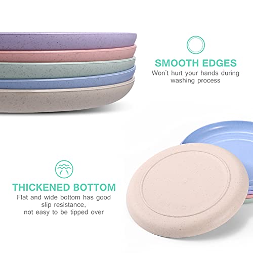 HEMOTON 5 pratos de jantar com palha de trigo de 25 cm inquebráveis, pratos de jantar reutilizáveis,