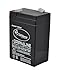Wildgame Innovations 6V Tab Style Rechargeable Battery | Premium Rechargeable Battery Ideal for Game Feeders, Multi, (WGI-WGIBT0013)