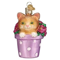 Kitten in Flower Pot