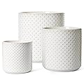 LE TAUCI Ceramic Plant Pots Indoor, 10 Inch 8 Inch 6 Inch Planters for Indoor Plants, Mid-Century Modern Flower Pots with Drainage Hole and Plug, Cylinder Round Planter Pots, Set of 3