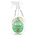 EARTH FRIENDLY STAIN & ODOR REMOVER,SPRY, 22 FZ