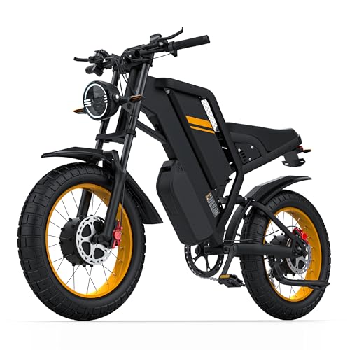 Raysync GT20PRO Dual 1500W Electric Dirt Bike