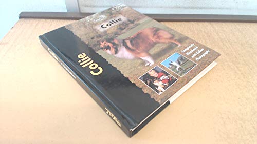 Collie