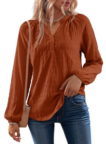 Dokotoo Womens Tops Dressy Casual Lantern Long Sleeve Shirts Fall Outfits Textured Business Blouses V Neck Button Down Shirts