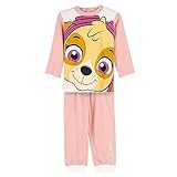 Paw Patrol