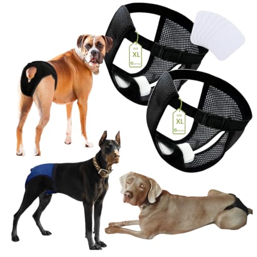 Bragas Perras menstruales.Braga Perro celo Hembra,Bragas menstruales Perro Hembra,Bragas para Perros,Bragas Perros menstruales 2 uds Incluye 6 Toallas Sanitarias, Talla XL, Negro.