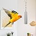 Hypeety Stainless Steel Bell Bird Toys Chew Toy for Parrot, Macaw, African Greys, Small Cockatoo, Parakeet, Cockatiels Heavy Duty Bird Cage Stand Toys (2 PCS-L)