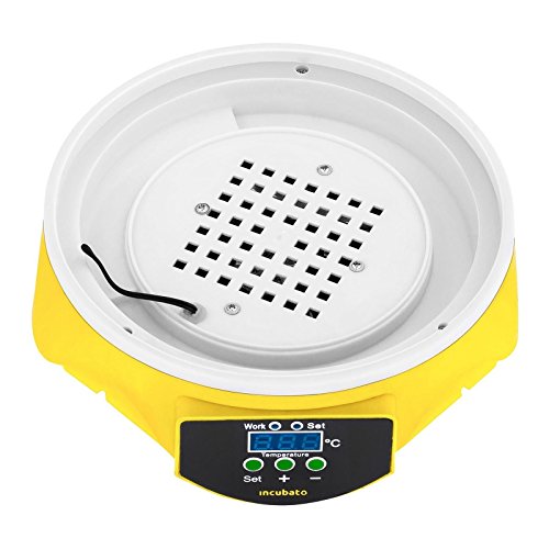 WXHN 7 Eier Mini Digital Inkubator Vollautomatische Brutmaschine Brutkasten Temperatur und Feuchtigkeitsregulierung Für… – Bild 7