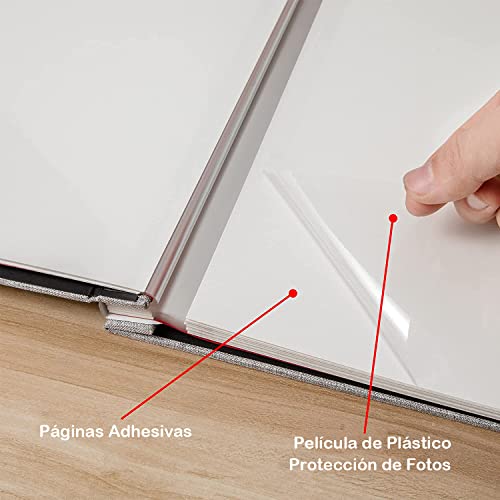 El Mejor Listado de Albumes para comprar online. 8 Albumes marca OIOSEN (2)