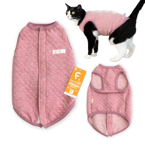 L Lp I[KjbN Lg X[p[ rߑ΍ wJ EȒP L̕ tIurK[ 6/sN CM