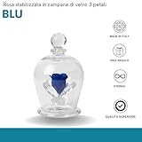 DC DEBORA CARLUCCI B0FSXSZMDF lato 2