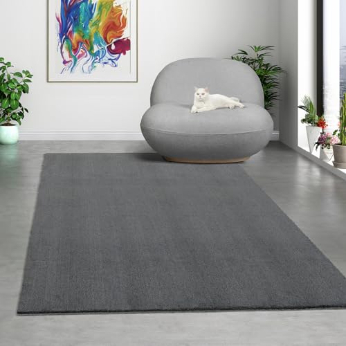 Paco Home Mias Teppiche Comfort Moderner Flauschiger Kurzflor Teppich, Anti-Rutsch Unterseite, Waschbar bis 30 Grad, Super Soft, Felloptik, Grau, 120 x 160 cm