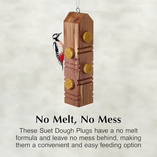 C&S Peanut Delight No Melt Suet Dough Plugs, Suet Plugs for Wild Birds, 12 Oz, 4 Count