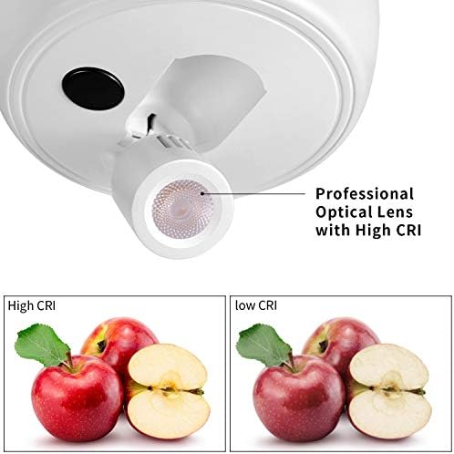 Wireless LED Picture Light with Remote Control, Spot Light Battery Powered, Artwork Lighting, Spotlight Indoor, Closet Light, Wall Light, Stick-on Art Light for Paintings, Dimmable with Auto-Off Timer