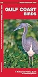 Gulf Coast Birds: A Waterproof Folding Guide to Familiar Species (Pocket Naturalist Guide)