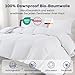 DOWNFOCUS Feder und Daunendecke 155x220cm - Oeko-Tex zertifizierte Bettdecke aus weichen Federn und Daunen - Allergiker Federbettdecke - RDS zertifizierte Ganzjahres Federbett Daunendecke - Duvet