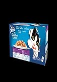 Felix Katzennassfutter Gelee Gemischte Vielfalt 44 x 100 g Multipack Premium Portionsbeutel