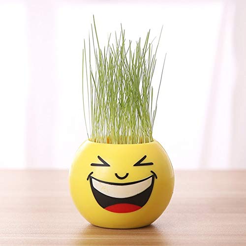 Office Mini Micro Landscape Plant Grass Potted Children Indoor Planted Cute Expression Long Grass Head Doll?1pcs?