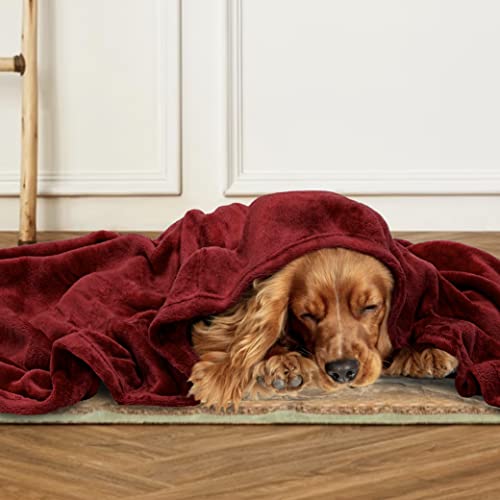 Pavilia Fleece Blanket Throw | Super Soft, Plush, Luxury Flannel Throw | Lightweight Microfiber Blanket For Sofa Couch Bed (Wine, 50X60 Inches) #TOP6
