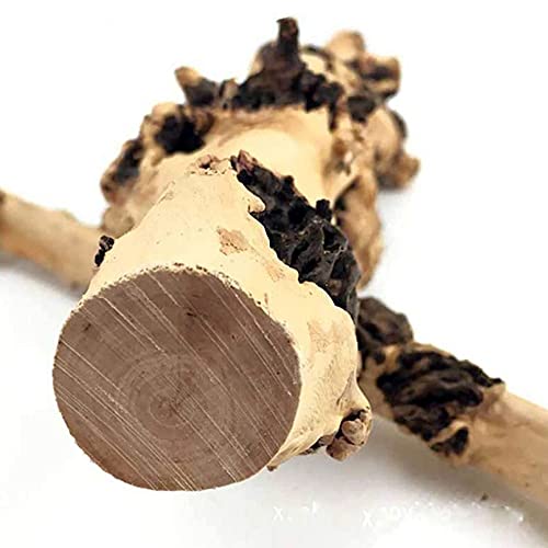 Kathson Aquarium Driftwood Branches, 6 Pcs Natural Forest Branch Aquarium Wood Decoration Reptile Habitat Wood Decor Tree Trunk Branches For Fish Tank Lizard Terrarium #TOP5