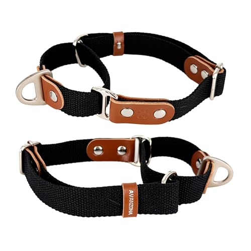 Martingalhalsband Hundewürgehalsband, Anti-Zug, Poly-Baumwolle und Leder. S. Schwarz & Cognac
