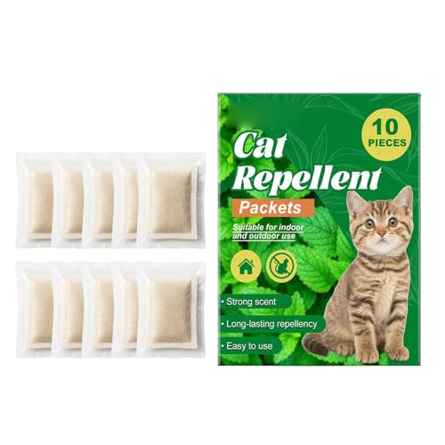 Gerinkoken qLg[jO⏕,10 Ƌیh~pi | OLpoA | qLAK[fŐ[hp