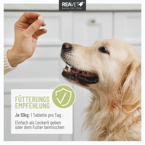 ReaVET Z-Blocker Tabletten 120 Stück – Mit Bierhefe, Schwarzkümmel & Kokos I 8 Monatsrationen für Hunde Aller Rassen & jeden Alters I Optimal für Hunde für Jede Jahreszeit