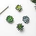 CoCoMe Funny 3D Resin Succulent Fridge Refrigerator Magnets, Set of 4