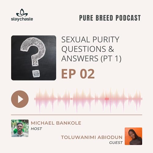 Sexual Purity Questions and Answers with Toluwanimi Abiodun (Part 1) cover art