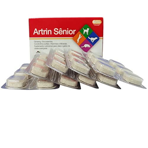 ARTRIN SÊNIOR GINSENG 30 COMPR. PALATÁVEIS