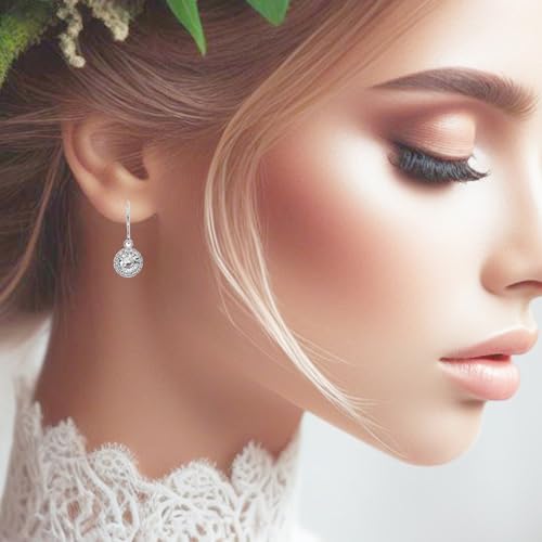 Elegant Halo Round Cubic Zirconia with ear wire dangle earrings, Wedding bridesmaid Earrings Gift2