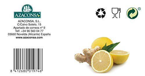 Ship - Té Verde de Jengibre y Limón - Caja de 25 Unidades - Aporta Vitaminas y Minerales - Sabor Dulce - imagen 4