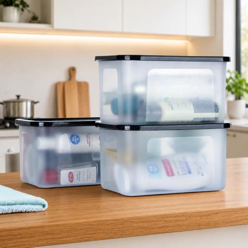 Image of SR Plastic Airtight Storage Container for Kitchen, Pantry and Home Organization | Multipurpose Stackable Refrigerator Organizer for Snacks, Fruits, Bread and Cosmetics (Set of 6-Transparent)