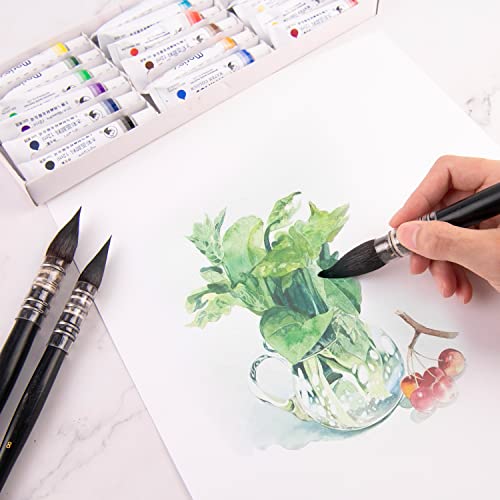 Squirrel Hair Watercolor Paint Brush , Professional Mop Round Fine Tip Detail Artist Paintbrush For Acrylic Painting, Watercolor, Gouache, Fine Detailing, Oil-Size 10 #TOP6