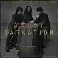 カーネーション / 20th BEST GREAT R & R BAND! My Favorite Best Album〜カーネーション『CARNATION IS THE