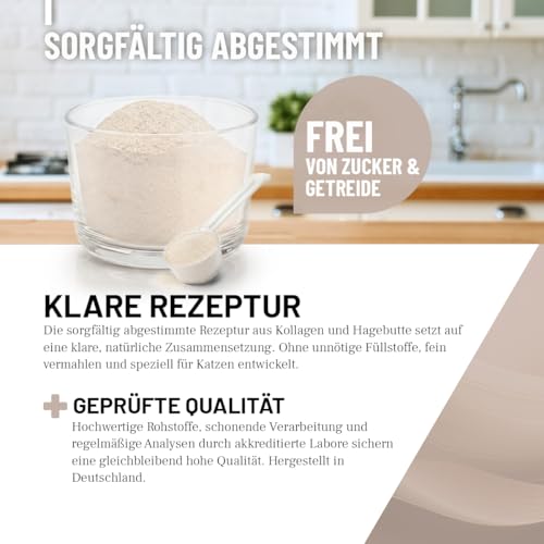 ReaVET Gelenk Complex Katzen 50g – Gelenkpulver mit Kollagen für Gelenke & Knorpel – Unterstützung der Beweglichkeit I Ergänzungsfuttermittel, Natürliche Gelenkunterstützung