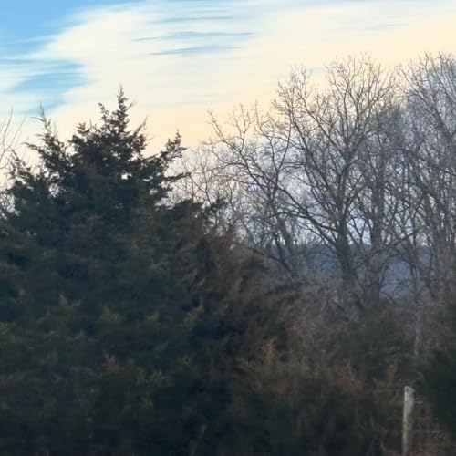 Merry Christmas, you don't know me