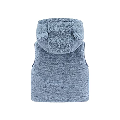 Toddler Girls Boys Fleece Hoodies Sleeveless Vest Jacket Zipper Casual Windproof Warm Coat Fall Winter3