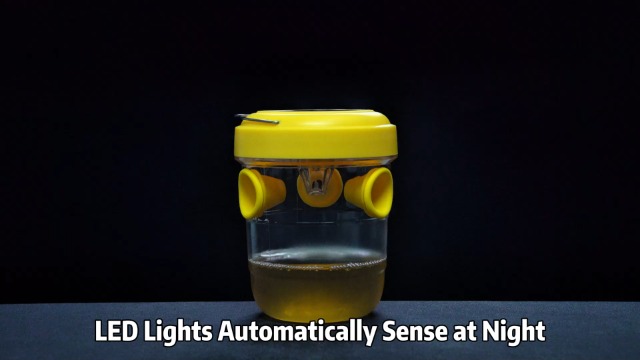 Watch X-PEST Solar Wasp Traps Hanging On on Amazon Live