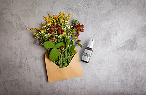 Zimply Natural Reizdarm Komplex Spray mit pflanzlichen Inhaltsstoffen