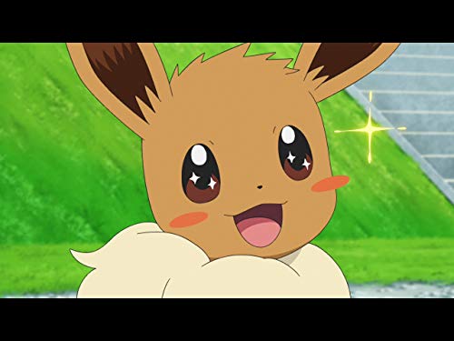 第49話 コハルと不思議な不思議なイーブイ！