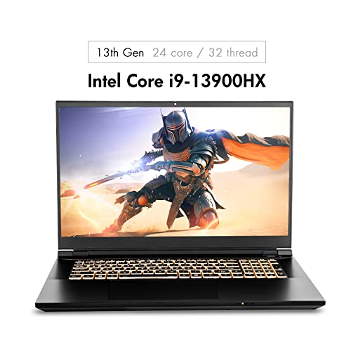 Sager 2023 Np8875D Gaming Laptop, 17.3 Inch Qhd 240Hz 100% Dci-P3 G-Sync, Intel I9-13900Hx, Rtx 4060 8Gb, 32Gb Ram, 1Tb Gen4 Nvme Ssd, Win 11 #TOP2