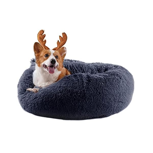 suddus Calming Dog Bed Large Size Dog, Anti Anxiety Dog Beds, Dog Bed with Blanket Attached Washable, Dark Grey (36”) suddus Calming Dog Bed Large Size Dog, Anti Anxiety Dog Beds, Dog Bed with Blanket Attached Washable, Dark Grey (36”)