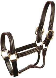 JackS 5100-H 1.12 in. Leather Track Halter, Horse