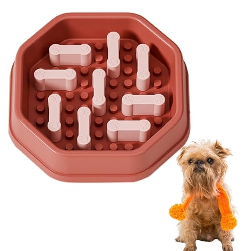 Lifetips ubZOtH ybgpX[t[h{E Lp Hh~  Փx ~ 􂢂₷ NǗ 킢fUC iB^Cv ubNbhj